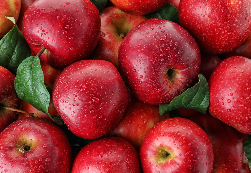 Quả táo có những công dụng gì? Điều gì xảy ra nếu ăn quá nhiều táo?